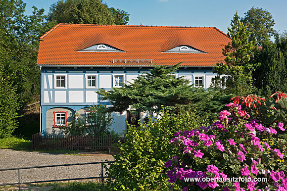 Foto von Peter Hennig PIXELWERKSTATT Umgebindehaus in Bertsdorf, davor Rhododendronbusch